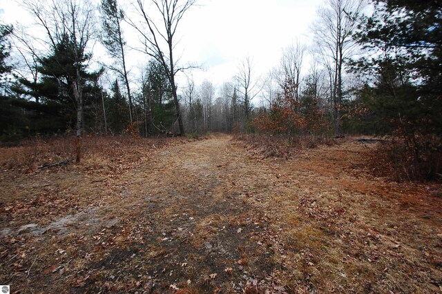 view of local wilderness