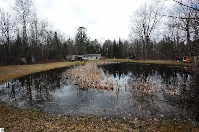 water view featuring a forest view