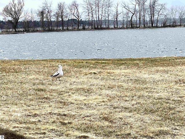 624 S Lake St, Cadillac, MI 49601 - property view of water