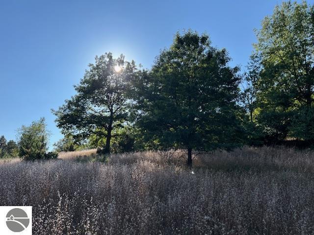 0 Deal Rd, Williamsburg, MI 49690