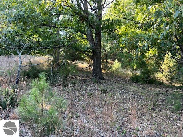 0 Deal Rd, Williamsburg, MI 49690