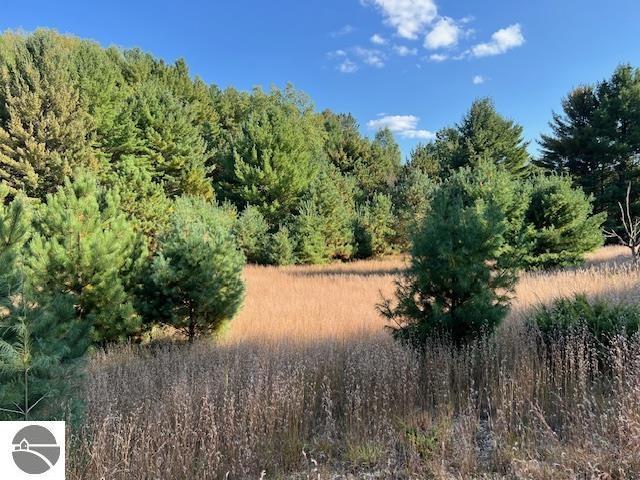 0 Deal Rd, Williamsburg, MI 49690