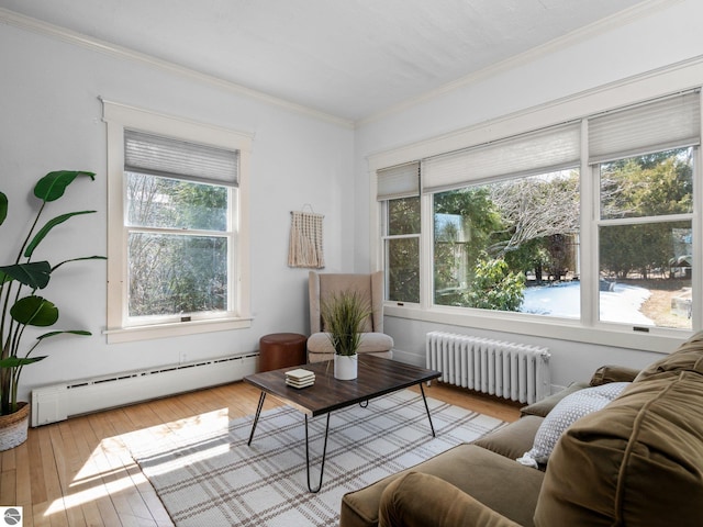 215 N Saint Marys St, Suttons Bay, MI 49682 - living room with wood-type flooring, a baseboard radiator, and radiator