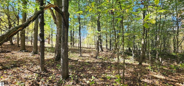 40ACRES Truesdale Rd, Manton, MI 49663