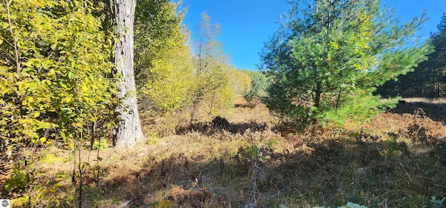 40ACRES Truesdale Rd, Manton, MI 49663