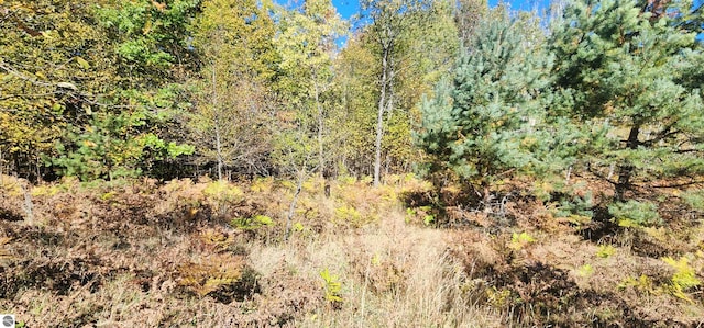 40ACRES Truesdale Rd, Manton, MI 49663