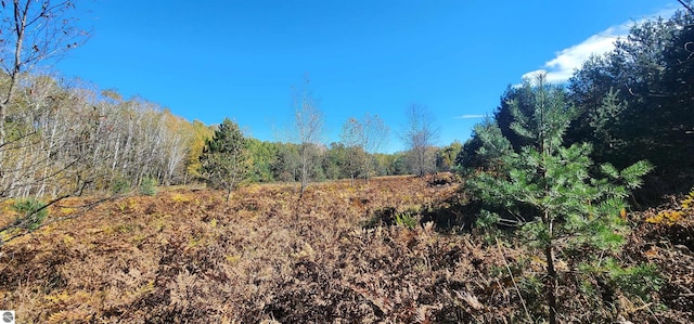 40ACRES Truesdale Rd, Manton, MI 49663