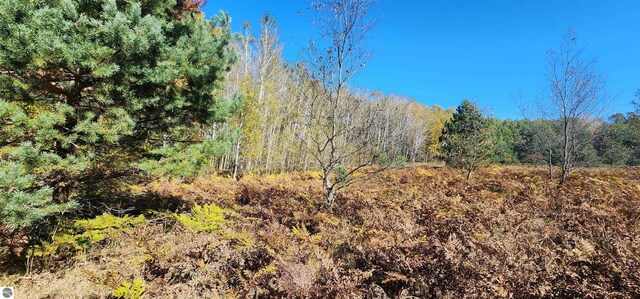40ACRES Truesdale Rd, Manton, MI 49663