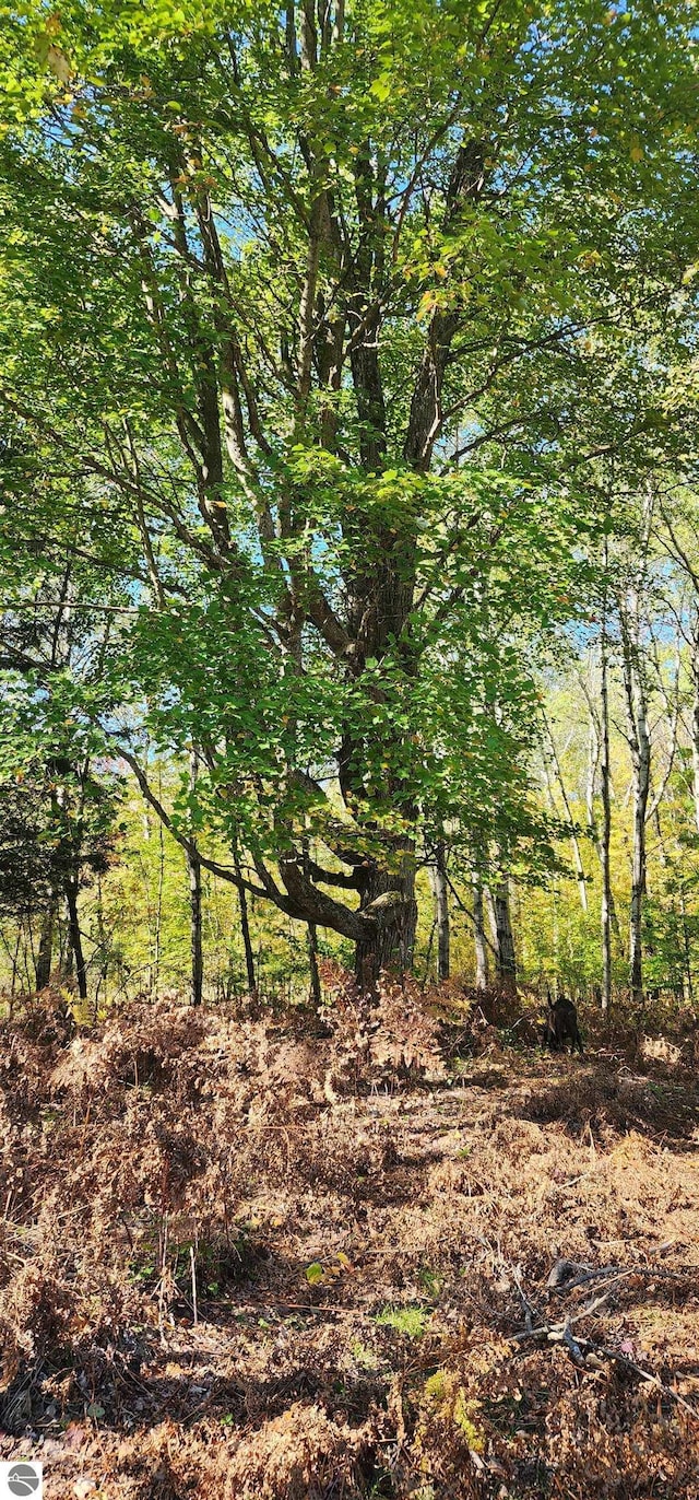 40ACRES Truesdale Rd, Manton, MI 49663