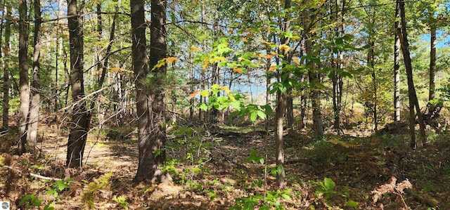 40ACRES Truesdale Rd, Manton, MI 49663