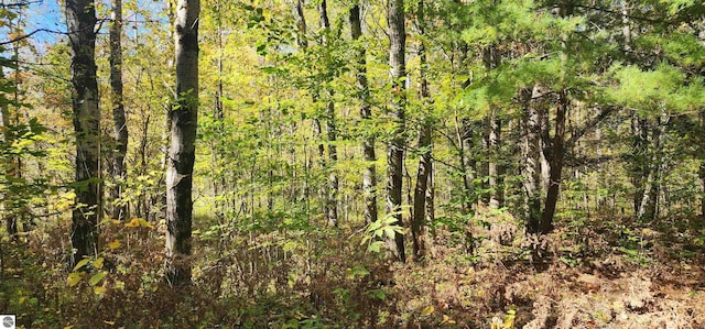 40ACRES Truesdale Rd, Manton, MI 49663