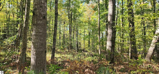 40ACRES Truesdale Rd, Manton, MI 49663