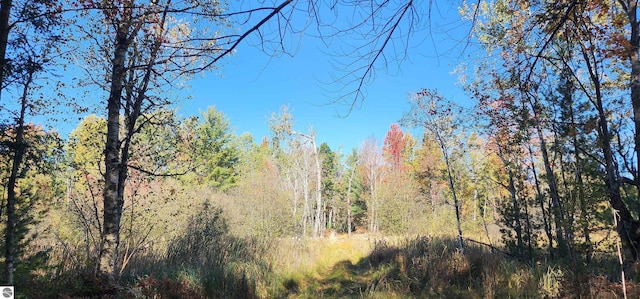 40ACRES Truesdale Rd, Manton, MI 49663