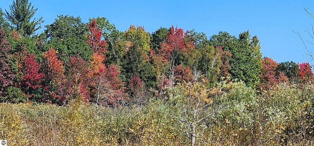 40ACRES Truesdale Rd, Manton, MI 49663