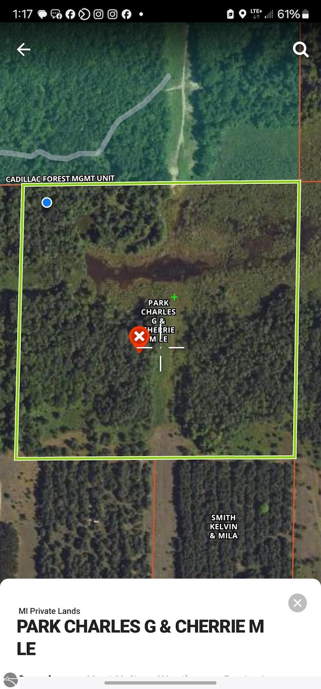 40ACRES Truesdale Rd, Manton, MI 49663