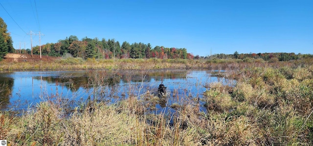 40ACRES Truesdale Rd, Manton, MI 49663