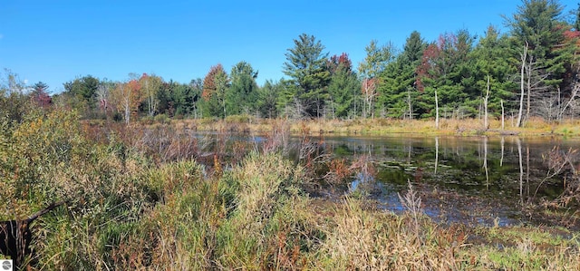 40ACRES Truesdale Rd, Manton, MI 49663