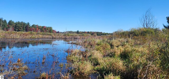 40ACRES Truesdale Rd, Manton, MI 49663