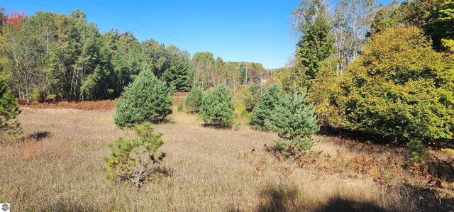 40ACRES Truesdale Rd, Manton, MI 49663