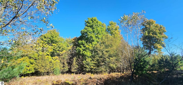 40ACRES Truesdale Rd, Manton, MI 49663