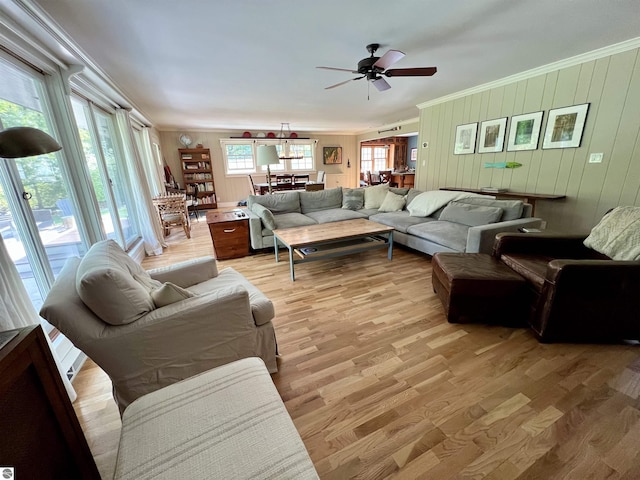 living area featuring light wood-style floors, ceiling fan, crown molding, and wooden walls