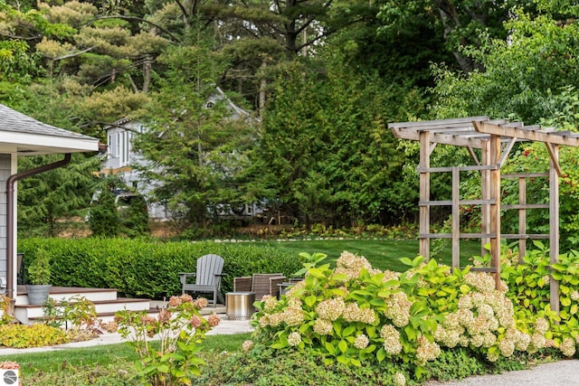 view of yard featuring a pergola