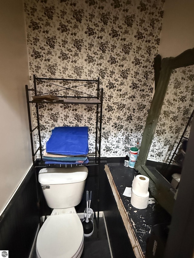 303 W Washington Ave, Saint Louis, MI 48880 - bathroom with a wainscoted wall, wallpapered walls, and toilet