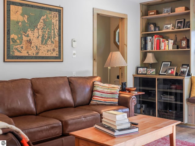 living room with wood finished floors
