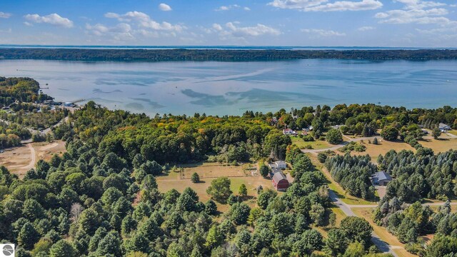 drone / aerial view featuring a view of trees and a water view