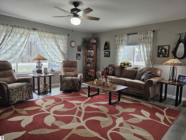 3042 Brodie Rd, South Branch, MI 48761 - living area featuring wood finished floors, ceiling fan, and baseboards