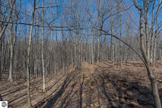 16 W Harbour Rdg, Maple City, MI 49664