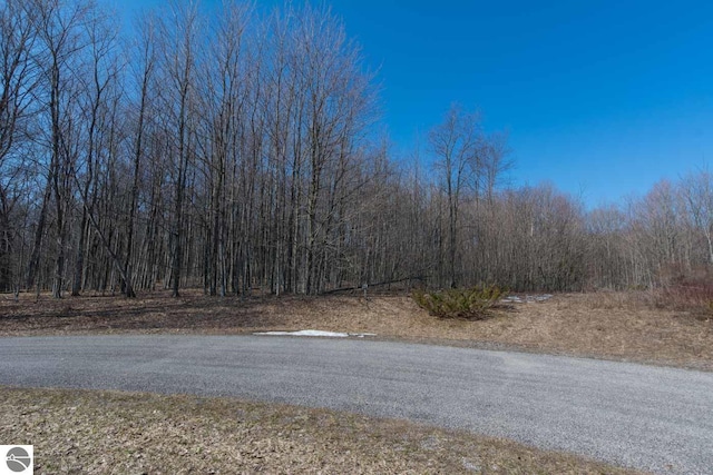 16 W Harbour Rdg, Maple City, MI 49664