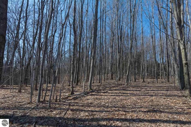 16 W Harbour Rdg, Maple City, MI 49664