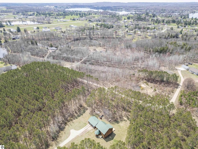 drone / aerial view