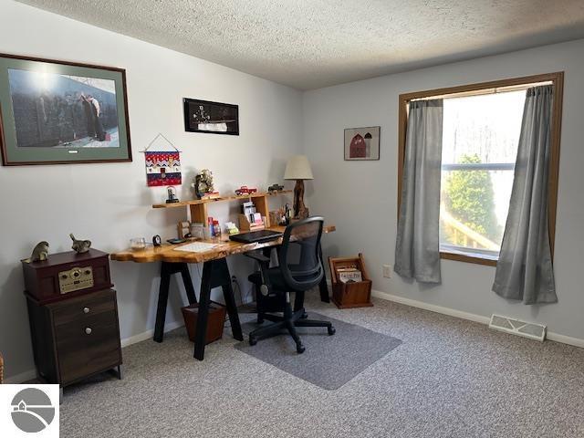 home office featuring carpet flooring, a textured ceiling, and visible vents