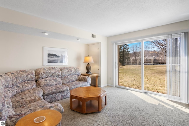 5000 Townhouse Dr, Cedar, MI 49621 - living room featuring visible vents, baseboards, and carpet