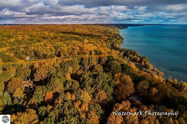bird's eye view with a forest view and a water view