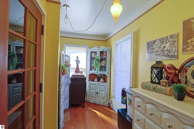 2587 S Coldwater Rd, Mount Pleasant, MI 48858 - hall with wood-type flooring