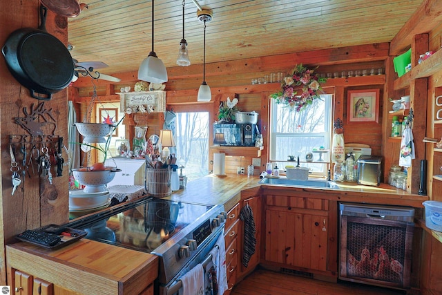 2587 S Coldwater Rd, Mount Pleasant, MI 48858 - kitchen with wooden ceiling, dishwasher, stainless steel range with electric stovetop, a sink, and wood finished floors