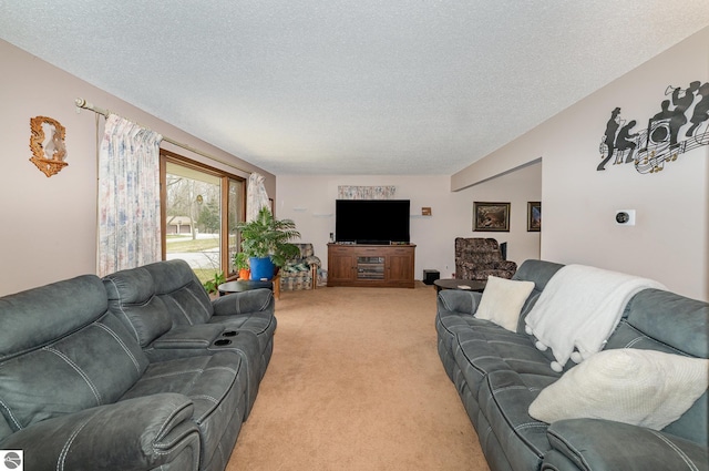 4631 Cardinal Dr, Mount Pleasant, MI 48858 - living area featuring light colored carpet and a textured ceiling