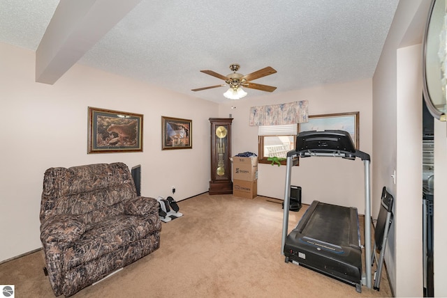4631 Cardinal Dr, Mount Pleasant, MI 48858 - workout room with ceiling fan, light carpet, and a textured ceiling