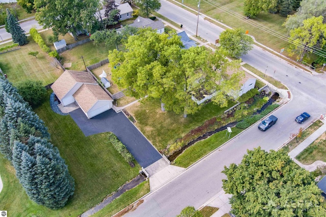 bird's eye view