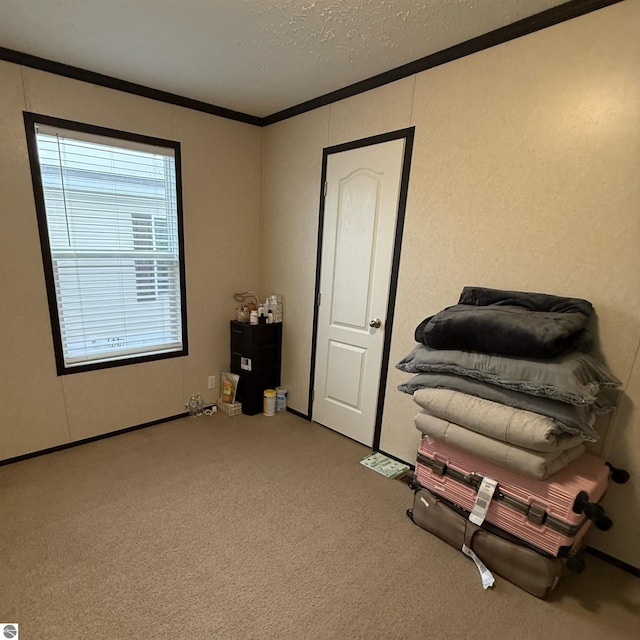 1279 Beacon Hill Ct, Mount Pleasant, MI 48858 - sitting room with carpet, a textured ceiling, and crown molding
