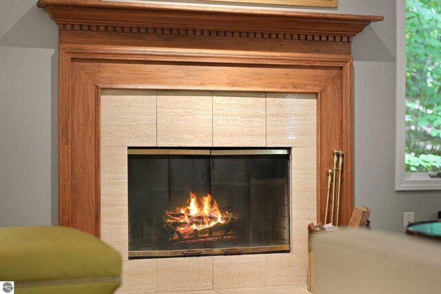 2127 E Timberlane Dr, Traverse City, MI 49686 - interior details with a tiled fireplace
