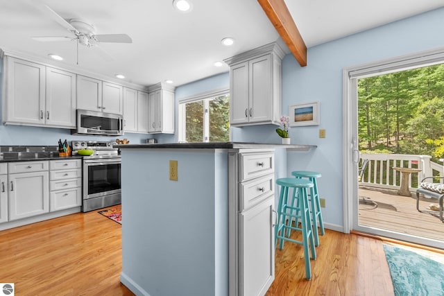 2127 E Timberlane Dr, Traverse City, MI 49686 - kitchen featuring light wood-style flooring, appliances with stainless steel finishes, and plenty of natural light