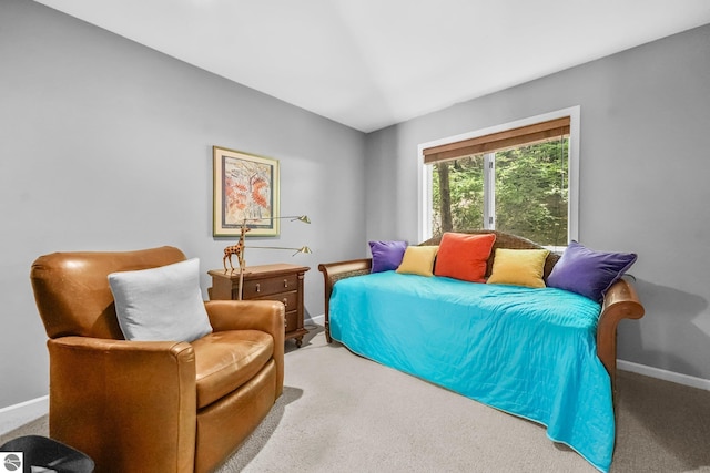 2127 E Timberlane Dr, Traverse City, MI 49686 - carpeted bedroom with baseboards