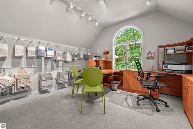 2127 E Timberlane Dr, Traverse City, MI 49686 - office featuring rail lighting, carpet, and lofted ceiling