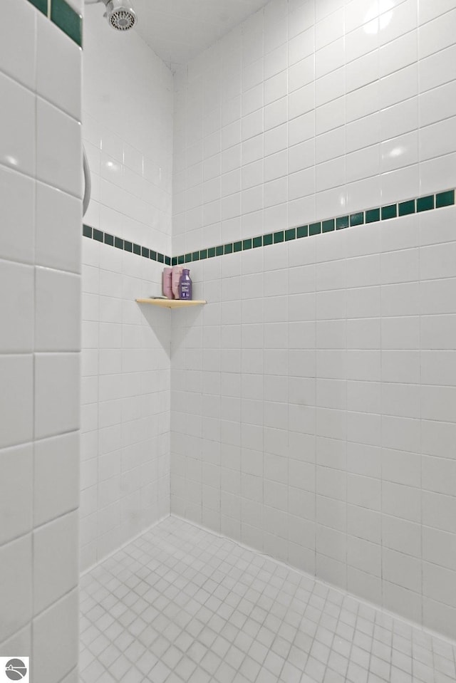 2127 E Timberlane Dr, Traverse City, MI 49686 - full bath featuring a tile shower