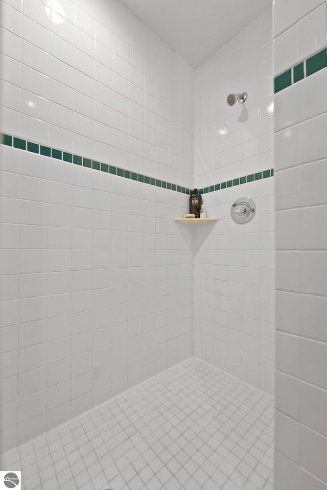 2127 E Timberlane Dr, Traverse City, MI 49686 - full bathroom with tiled shower