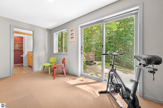 2127 E Timberlane Dr, Traverse City, MI 49686 - workout room with light carpet and baseboards